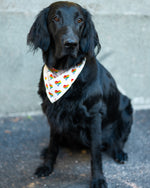 Last inn bildet i Galleri-visningsprogrammet, Bandana for hund – Hjertemønster
