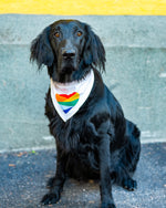 Last inn bildet i Galleri-visningsprogrammet, Bandana for hund – Hjerte
