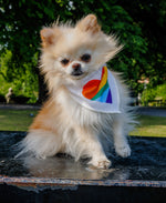 Last inn bildet i Galleri-visningsprogrammet, Bandana for hund – Hjerte
