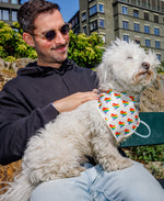 Last inn bildet i Galleri-visningsprogrammet, Bandana for hund – Hjertemønster
