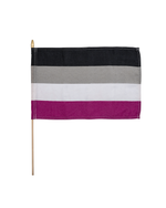 Last inn bildet i Galleri-visningsprogrammet, Håndflagg Asexual
